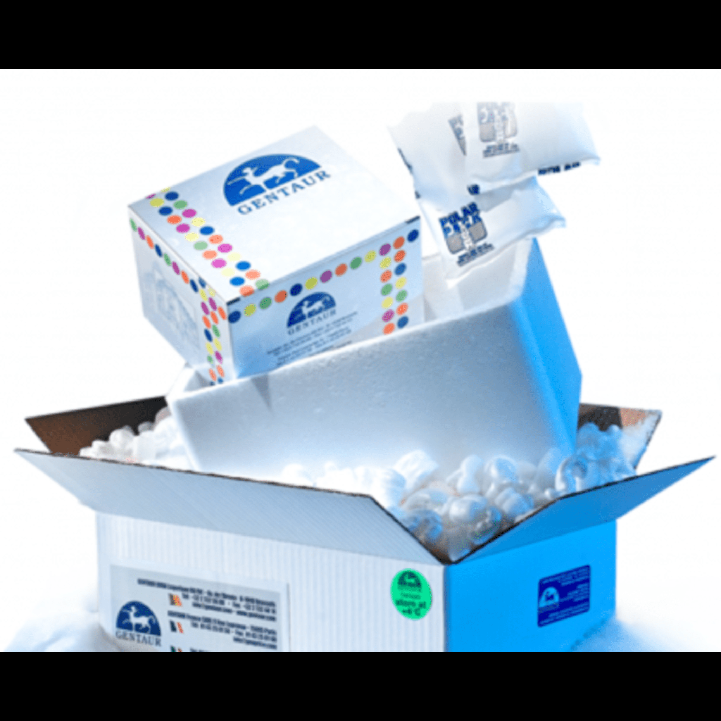 Annexin V-EGFP/PI Apoptosis Detection Kit Annexin V-EGFP/PI -100 T