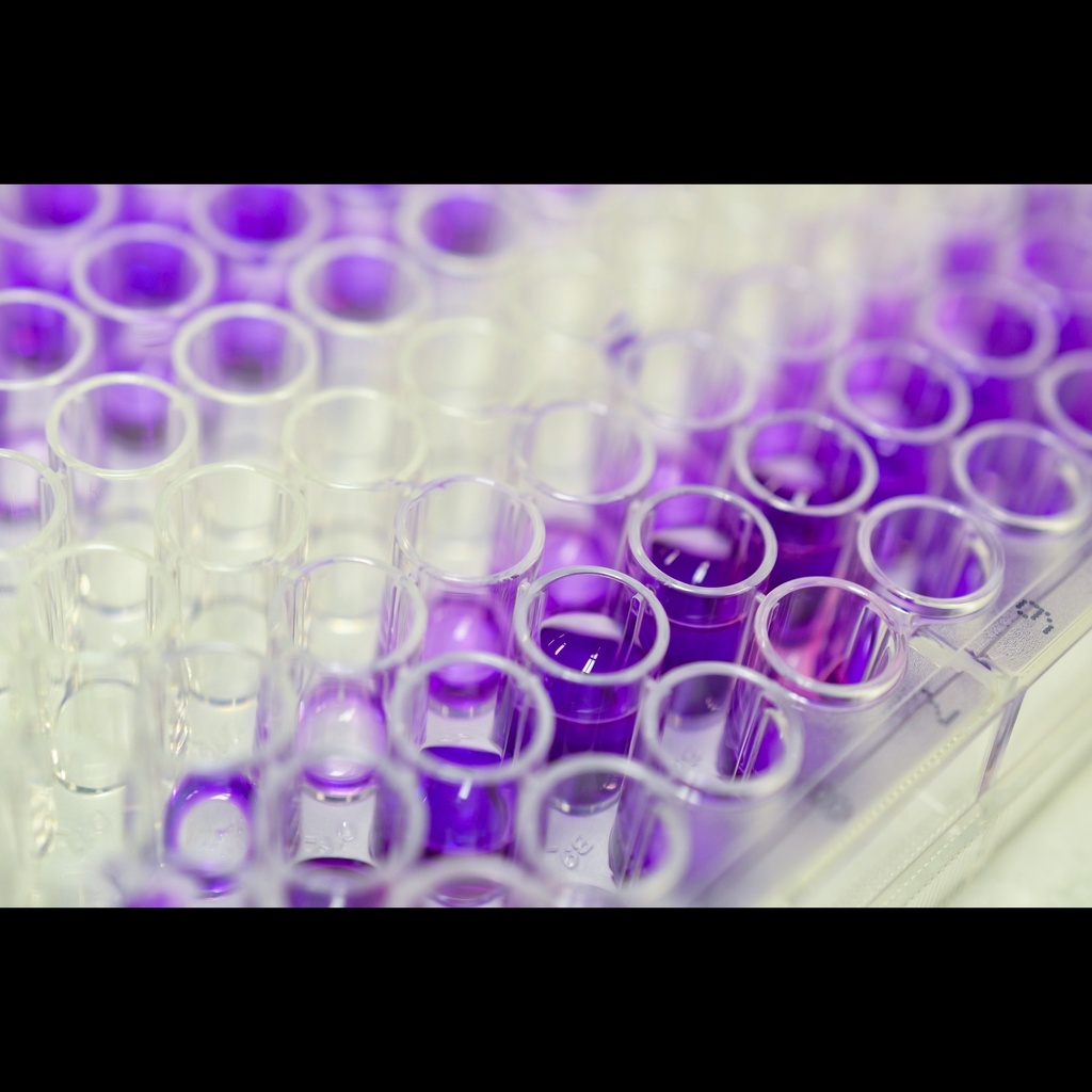KRIBIOLISA Sacituzumab Govitecan  TRODELVY  Elisa Kit 96 Tests